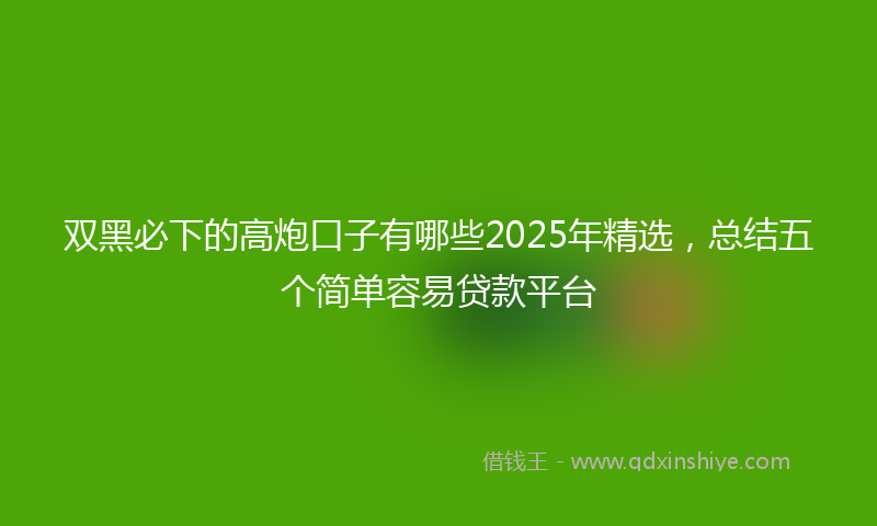 双黑必下的高炮口子有哪些2025年精选，总结五个简单容易贷款平台