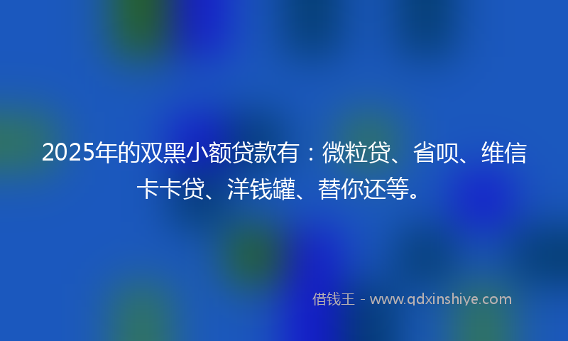 2025年的双黑小额贷款有：微粒贷、省呗、维信卡卡贷、洋钱罐、替你还等。