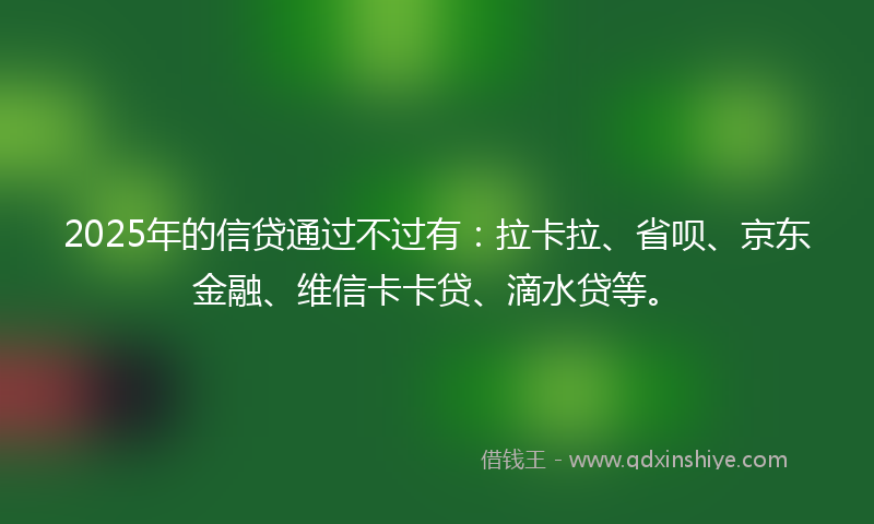 2025年的信贷通过不过有：拉卡拉、省呗、京东金融、维信卡卡贷、滴水贷等。