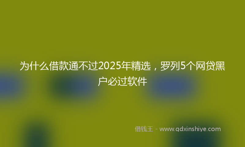 为什么借款通不过2025年精选，罗列5个网贷黑户必过软件