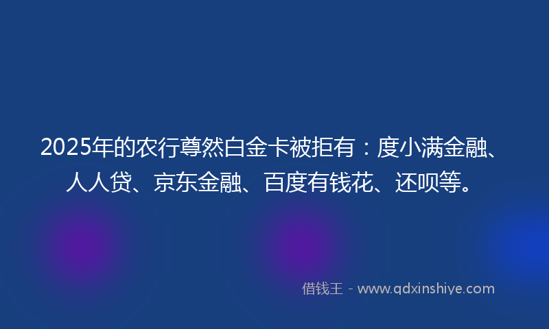 2025年的农行尊然白金卡被拒有：度小满金融、人人贷、京东金融、百度有钱花、还呗等。