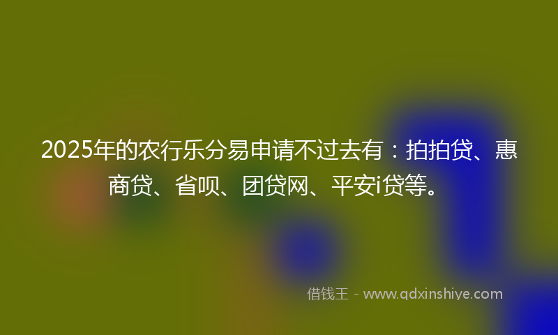 2025年的农行乐分易申请不过去有：拍拍贷、惠商贷、省呗、团贷网、平安i贷等。