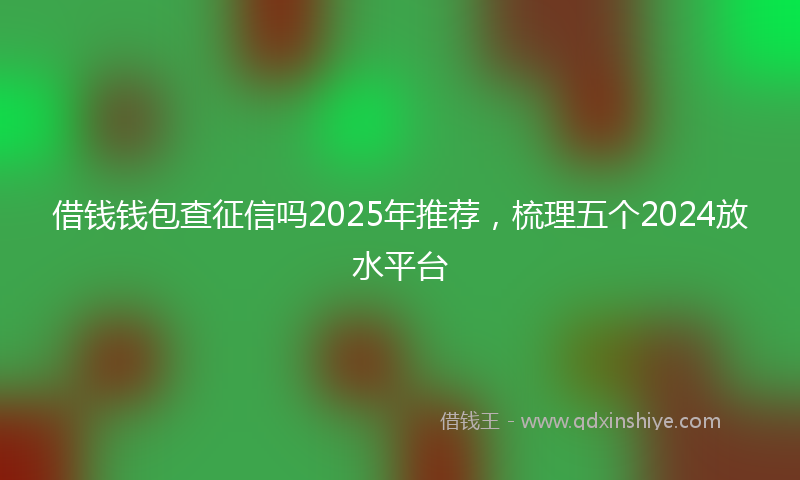 借钱钱包查征信吗2025年推荐，梳理五个2024放水平台