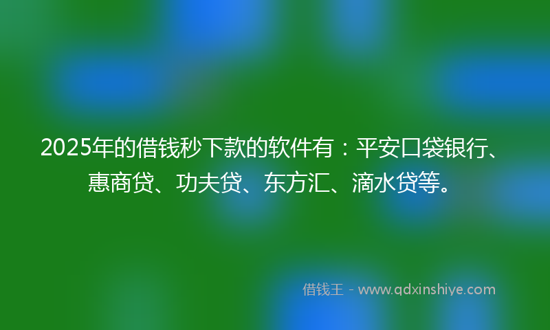 2025年的借钱秒下款的软件有：平安口袋银行、惠商贷、功夫贷、东方汇、滴水贷等。