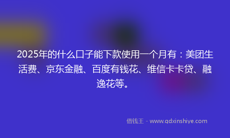 2025年的什么口子能下款使用一个月有：美团生活费、京东金融、百度有钱花、维信卡卡贷、融逸花等。