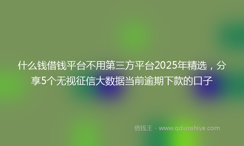 什么钱借钱平台不用第三方平台2025年精选，分享5个无视征信大数据当前逾期下款的口子