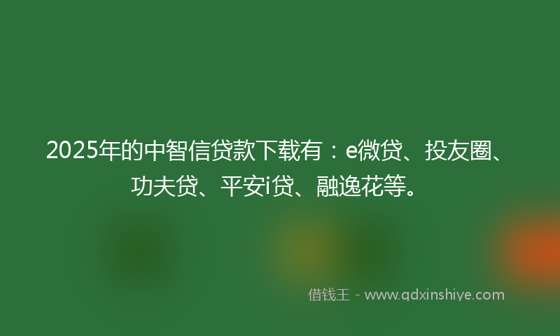2025年的中智信贷款下载有：e微贷、投友圈、功夫贷、平安i贷、融逸花等。