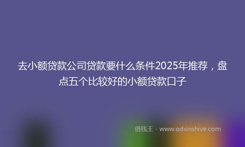 去小额贷款公司贷款要什么条件2025年推荐，盘点五个比较好的小额贷款口子
