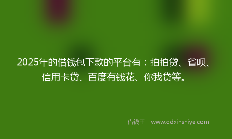2025年的借钱包下款的平台有：拍拍贷、省呗、信用卡贷、百度有钱花、你我贷等。