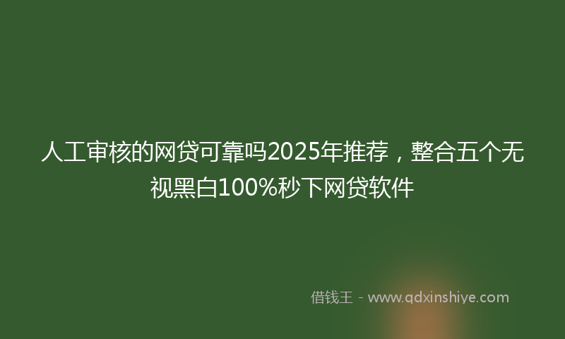 人工审核的网贷可靠吗2025年推荐，整合五个无视黑白100%秒下网贷软件