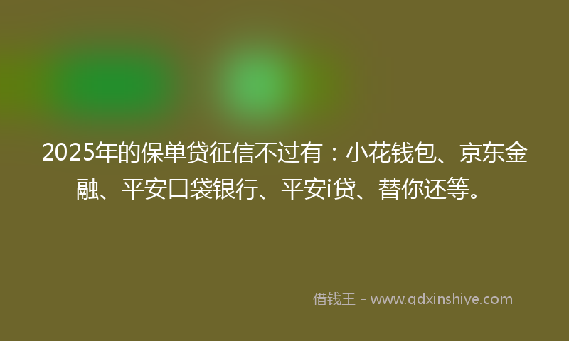 2025年的保单贷征信不过有：小花钱包、京东金融、平安口袋银行、平安i贷、替你还等。