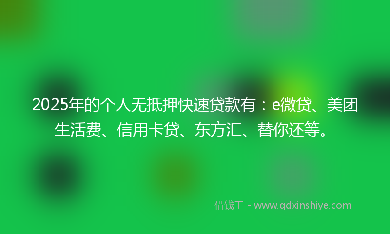 2025年的个人无抵押快速贷款有：e微贷、美团生活费、信用卡贷、东方汇、替你还等。