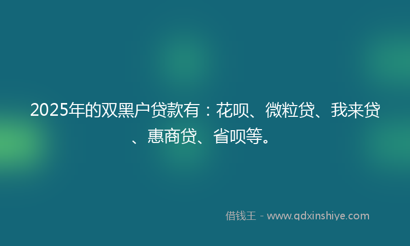 2025年的双黑户贷款有：花呗、微粒贷、我来贷、惠商贷、省呗等。