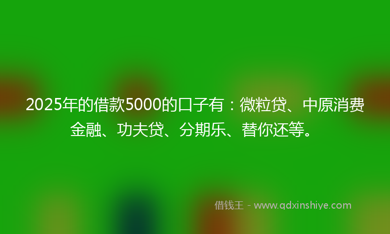 2025年的借款5000的口子有：微粒贷、中原消费金融、功夫贷、分期乐、替你还等。