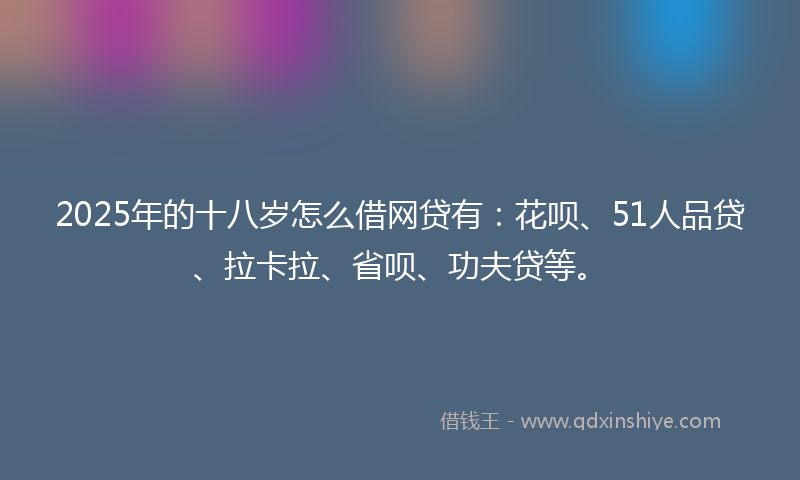 2025年的十八岁怎么借网贷有：花呗、51人品贷、拉卡拉、省呗、功夫贷等。