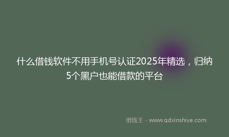 什么借钱软件不用手机号认证2025年精选，归纳5个黑户也能借款的平台