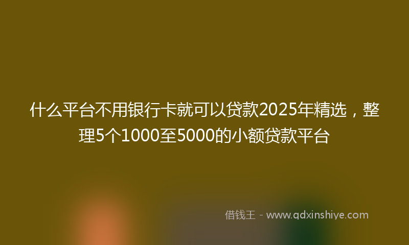 什么平台不用银行卡就可以贷款2025年精选，整理5个1000至5000的小额贷款平台