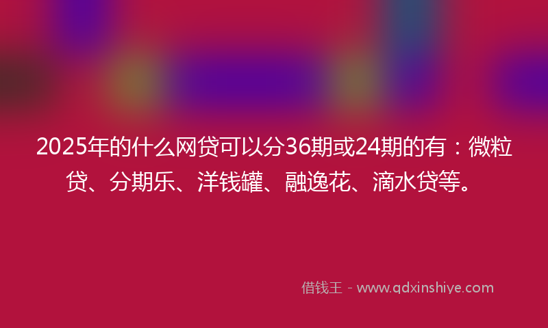 2025年的什么网贷可以分36期或24期的有：微粒贷、分期乐、洋钱罐、融逸花、滴水贷等。