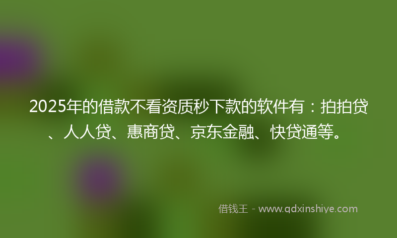 2025年的借款不看资质秒下款的软件有：拍拍贷、人人贷、惠商贷、京东金融、快贷通等。