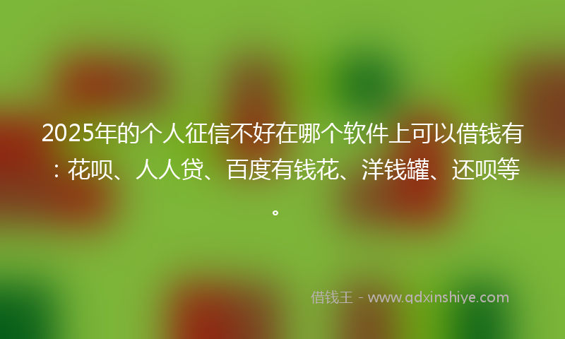 2025年的个人征信不好在哪个软件上可以借钱有:花呗、人人贷、百度有钱花、洋钱罐、还呗等。