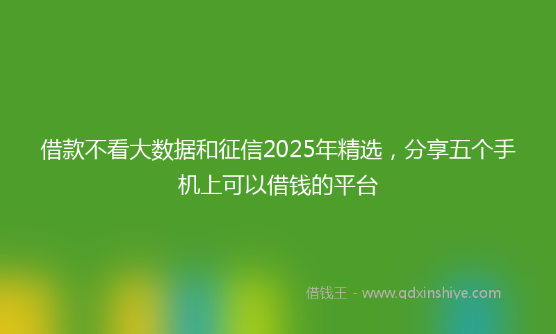 借款不看大数据和征信2025年精选，分享五个手机上可以借钱的平台