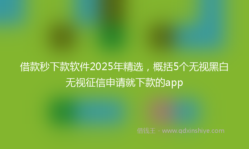 借款秒下款软件2025年精选，概括5个无视黑白无视征信申请就下款的app