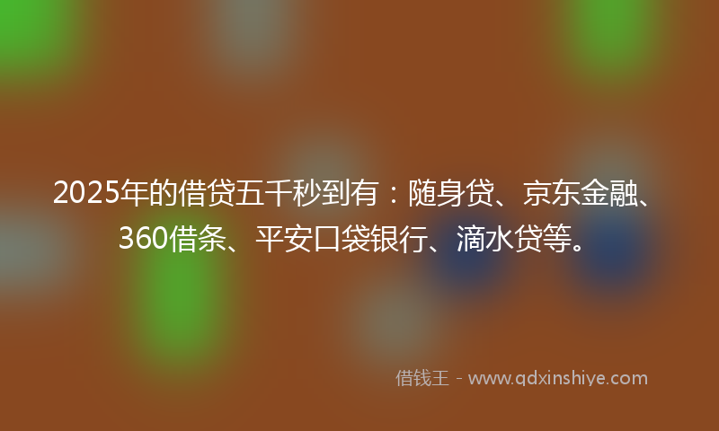 2025年的借贷五千秒到有：随身贷、京东金融、360借条、平安口袋银行、滴水贷等。