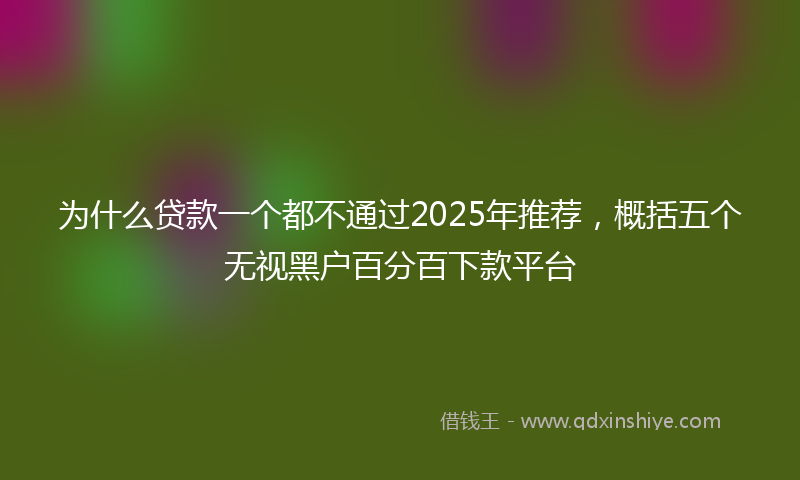 为什么贷款一个都不通过2025年推荐，概括五个无视黑户百分百下款平台