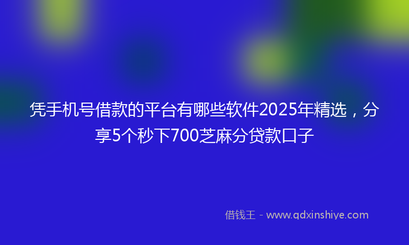 凭手机号借款的平台有哪些软件2025年精选，分享5个秒下700芝麻分贷款口子