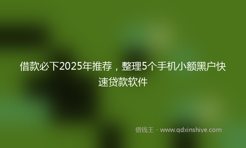 借款必下2025年推荐，整理5个手机小额黑户快速贷款软件
