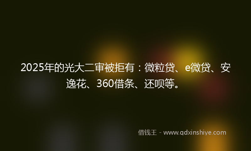 2025年的光大二审被拒有：微粒贷、e微贷、安逸花、360借条、还呗等。