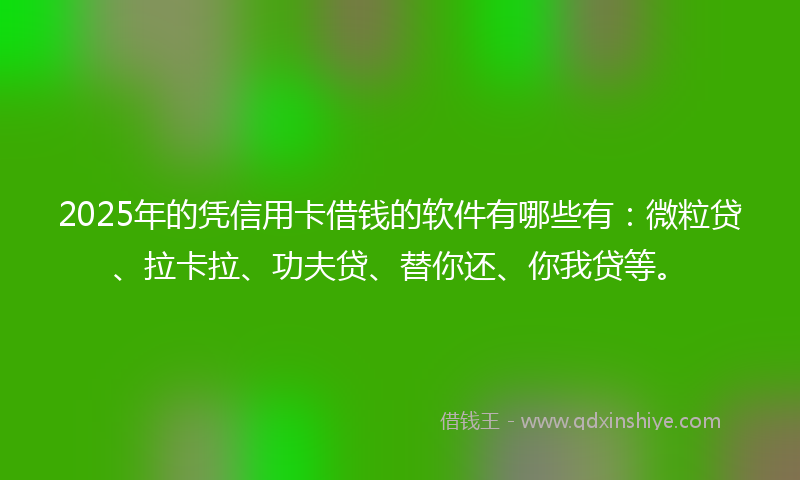 2025年的凭信用卡借钱的软件有哪些有：微粒贷、拉卡拉、功夫贷、替你还、你我贷等。