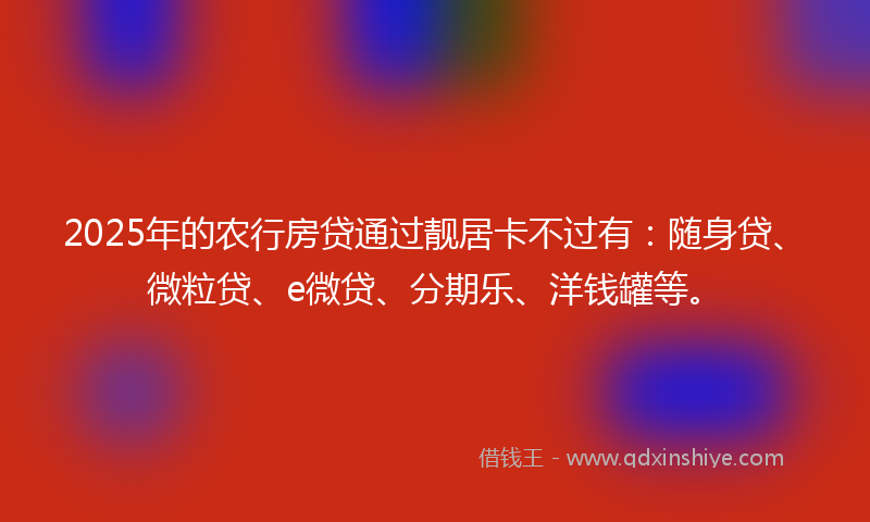 2025年的农行房贷通过靓居卡不过有：随身贷、微粒贷、e微贷、分期乐、洋钱罐等。