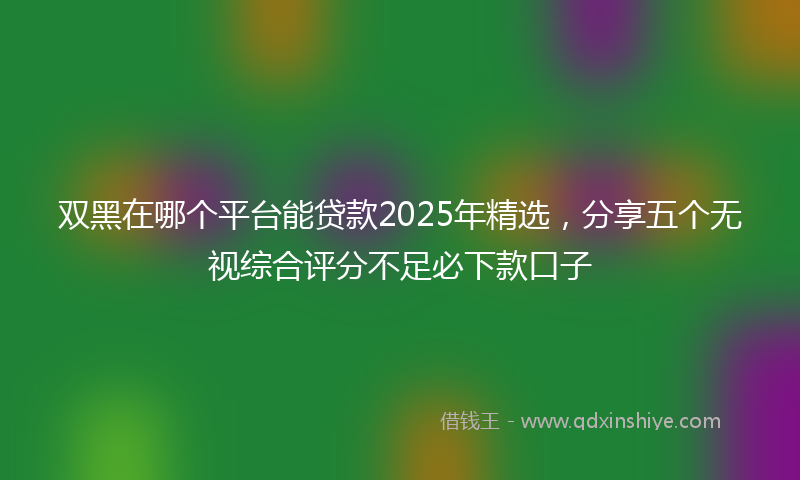 双黑在哪个平台能贷款2025年精选，分享五个无视综合评分不足必下款口子