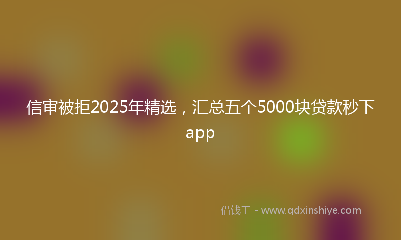 信审被拒2025年精选，汇总五个5000块贷款秒下app