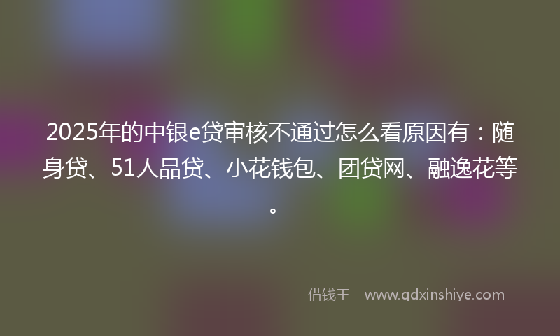 2025年的中银e贷审核不通过怎么看原因有：随身贷、51人品贷、小花钱包、团贷网、融逸花等。