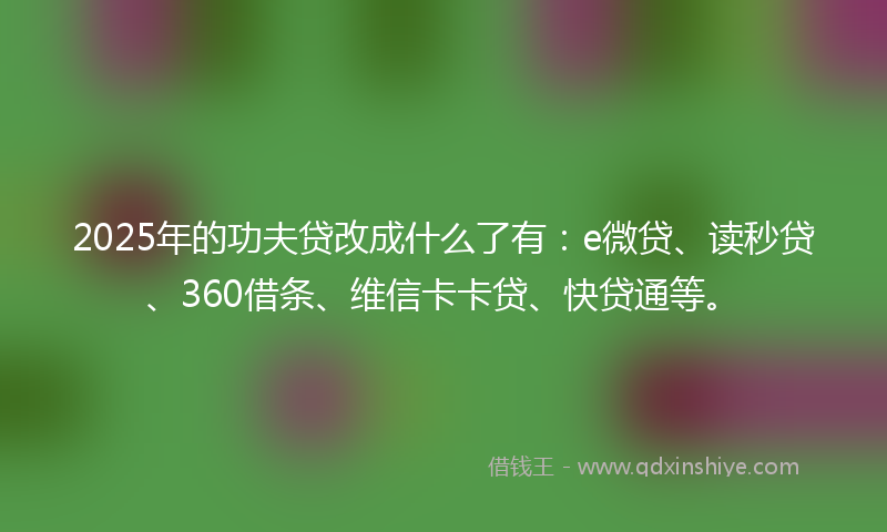 2025年的功夫贷改成什么了有：e微贷、读秒贷、360借条、维信卡卡贷、快贷通等。
