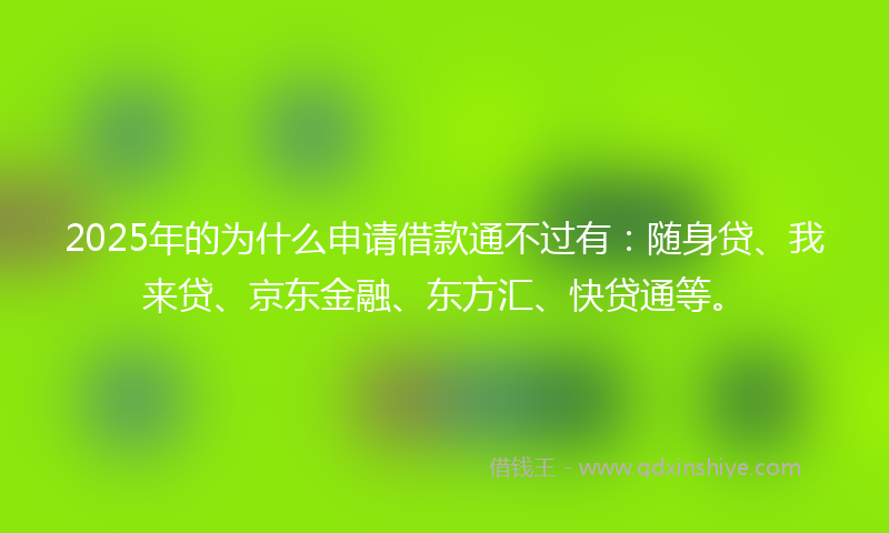 2025年的为什么申请借款通不过有：随身贷、我来贷、京东金融、东方汇、快贷通等。