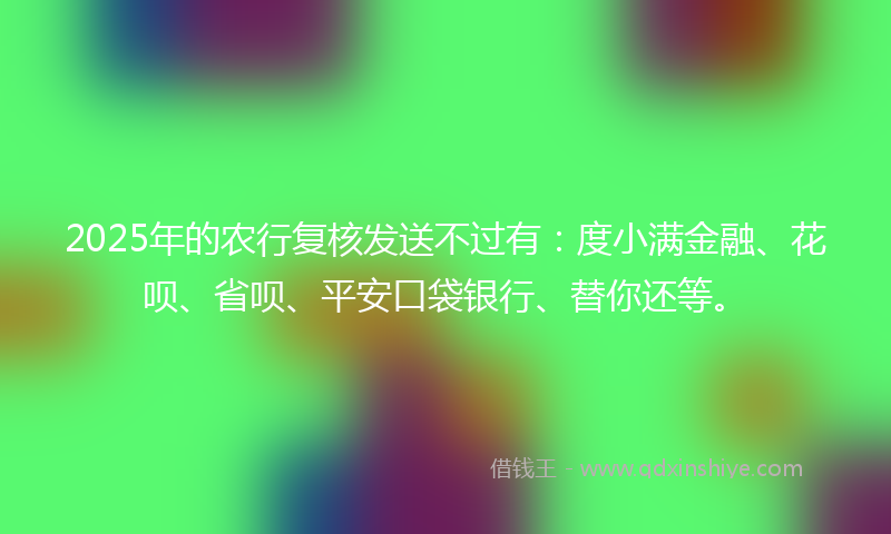 2025年的农行复核发送不过有：度小满金融、花呗、省呗、平安口袋银行、替你还等。