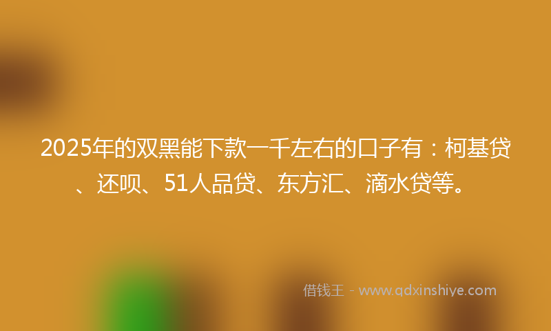 2025年的双黑能下款一千左右的口子有：柯基贷、还呗、51人品贷、东方汇、滴水贷等。