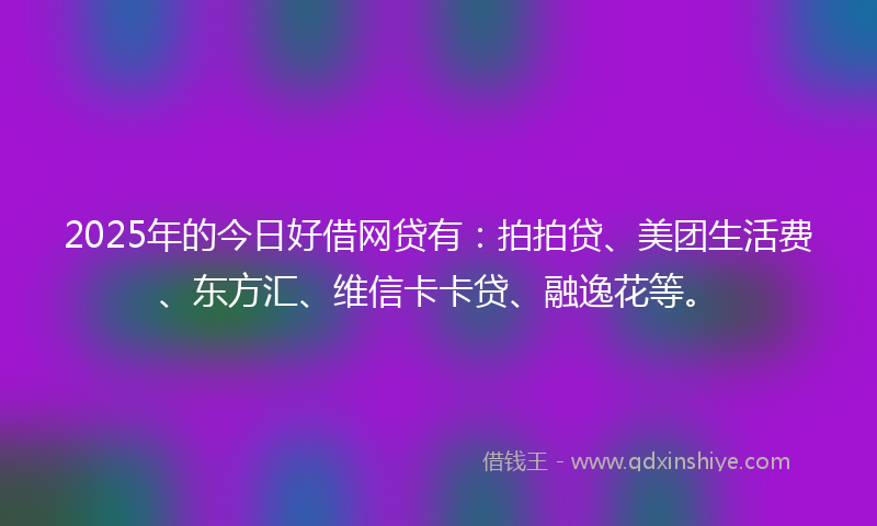 2025年的今日好借网贷有：拍拍贷、美团生活费、东方汇、维信卡卡贷、融逸花等。