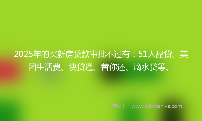 2025年的买新房贷款审批不过有：51人品贷、美团生活费、快贷通、替你还、滴水贷等。