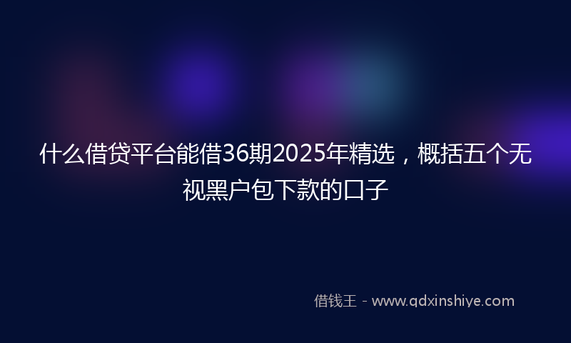 什么借贷平台能借36期2025年精选，概括五个无视黑户包下款的口子