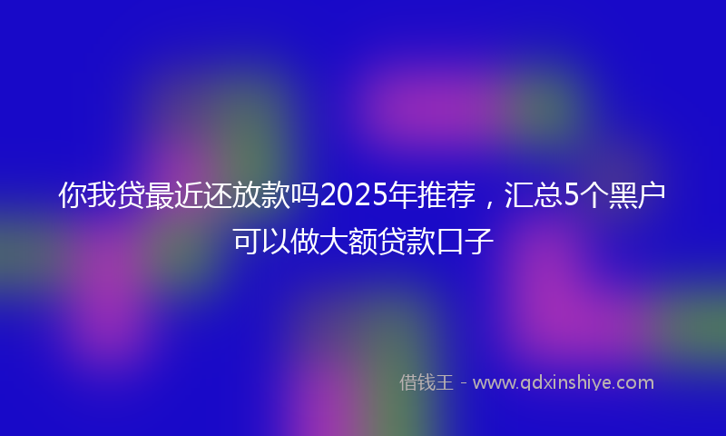 你我贷最近还放款吗2025年推荐，汇总5个黑户可以做大额贷款口子