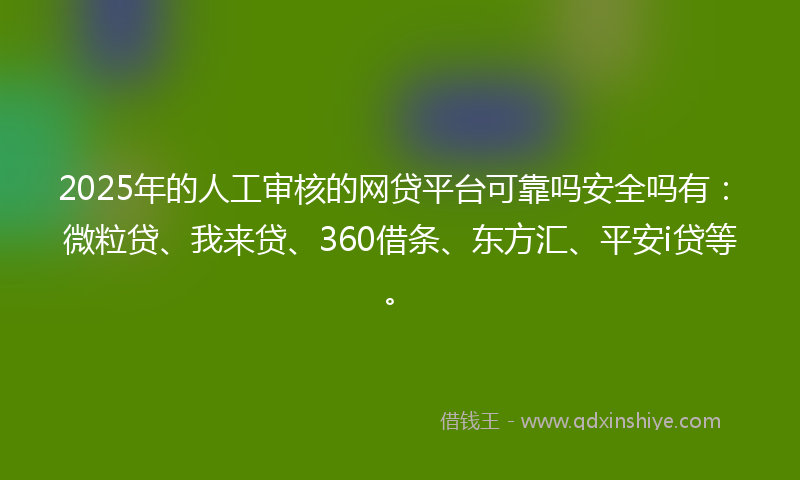 2025年的人工审核的网贷平台可靠吗安全吗有：微粒贷、我来贷、360借条、东方汇、平安i贷等。