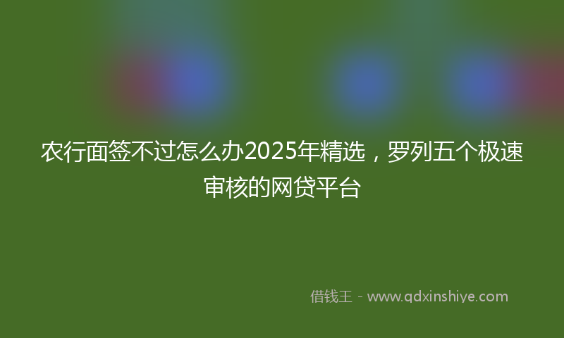 农行面签不过怎么办2025年精选，罗列五个极速审核的网贷平台