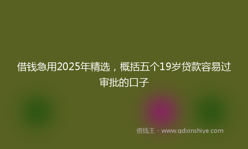 借钱急用2025年精选，概括五个19岁贷款容易过审批的口子