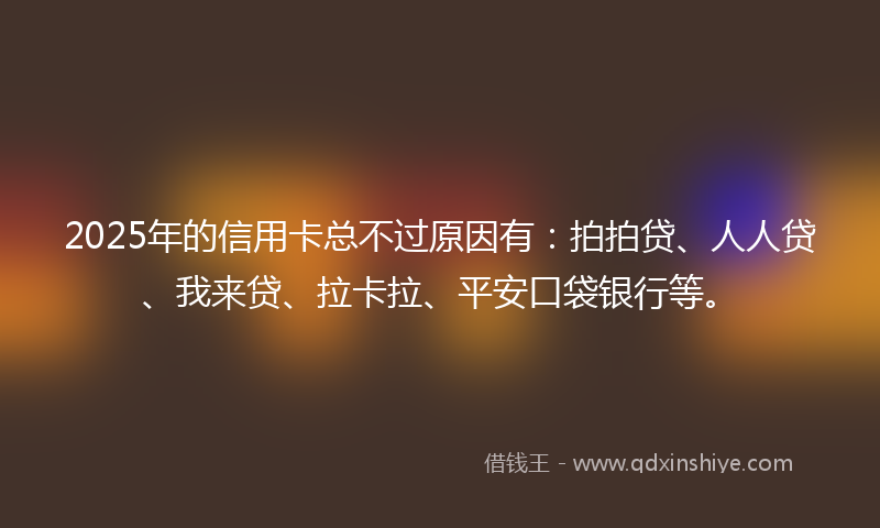2025年的信用卡总不过原因有：拍拍贷、人人贷、我来贷、拉卡拉、平安口袋银行等。