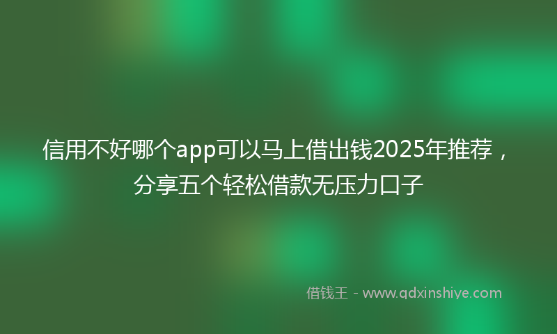 信用不好哪个app可以马上借出钱2025年推荐，分享五个轻松借款无压力口子