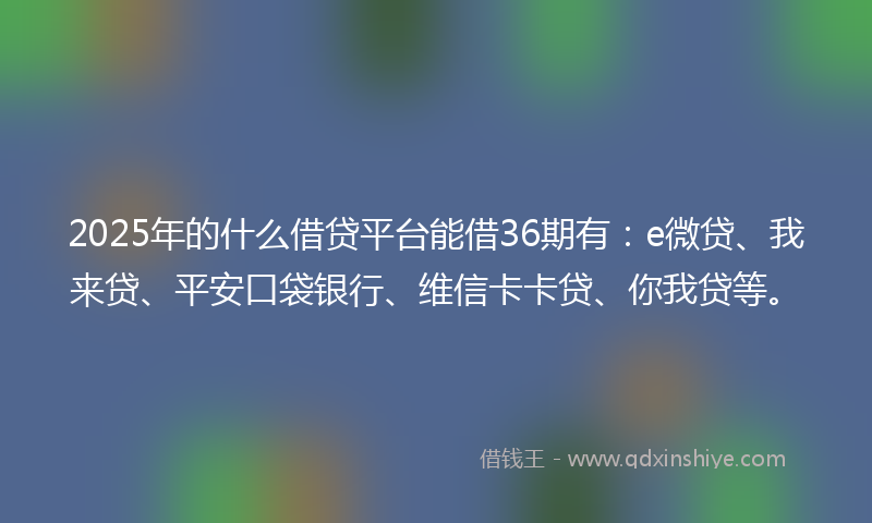 2025年的什么借贷平台能借36期有：e微贷、我来贷、平安口袋银行、维信卡卡贷、你我贷等。